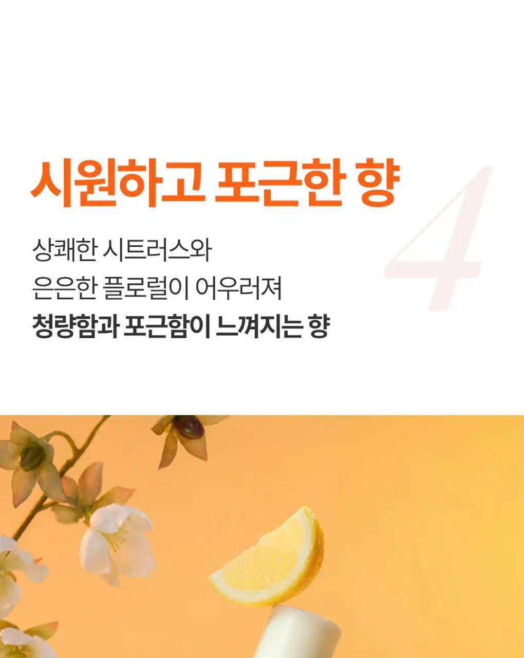 [백호PICK/호호바오일함유] 트리셀 리커버리 헤어 오일 에센스 100ml 상세페이지 19